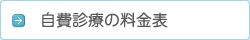 自費診療の料金表(税込)