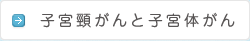 子宮頸がんと子宮体がん